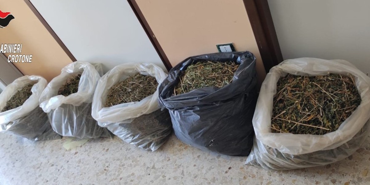 Torre Melissa: i carabinieri trovano 18 kg di marijuana in un casale abbandonato