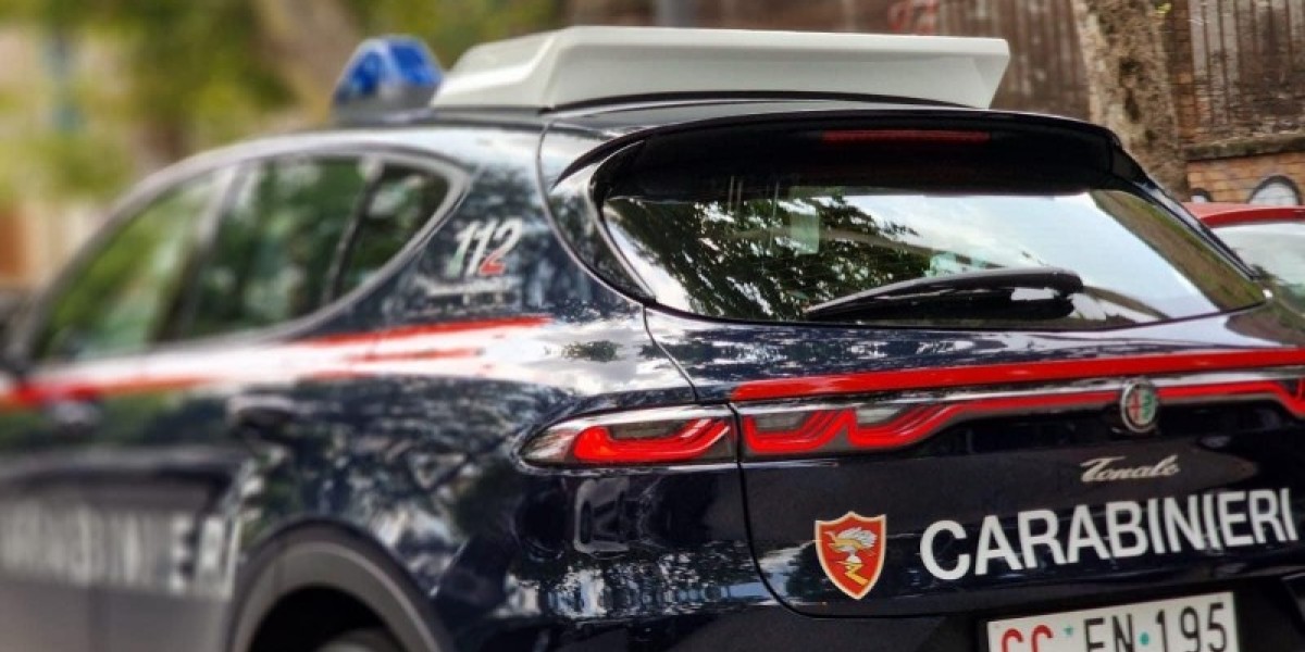 Cotronei: si oppone all'arresto di un congiunto, disposti gli arresti domiciliari